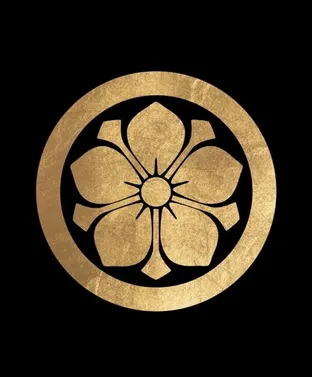 Sarustudio