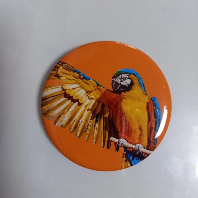 Review thumbnail image