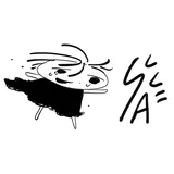 SSAVI