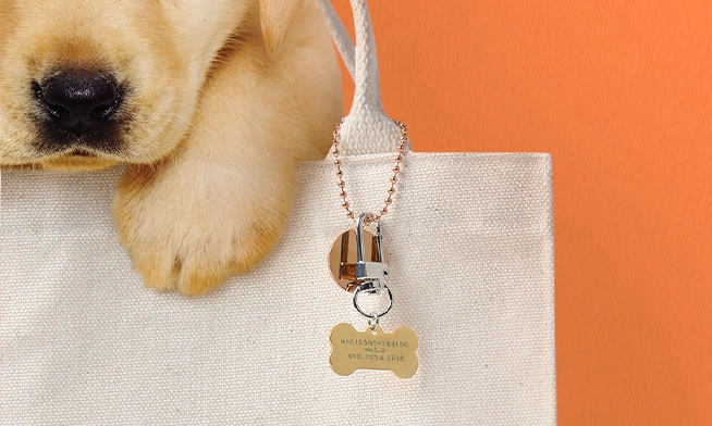 Unique Gifts 
for Dogs &amp; Cats