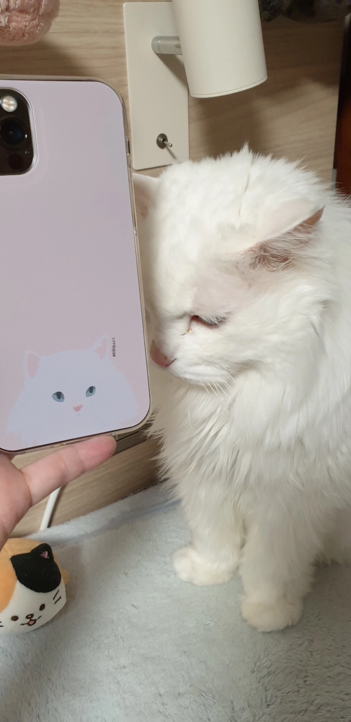 Review thumbnail image