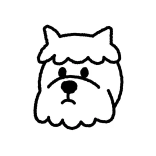 Tikipupp Studio