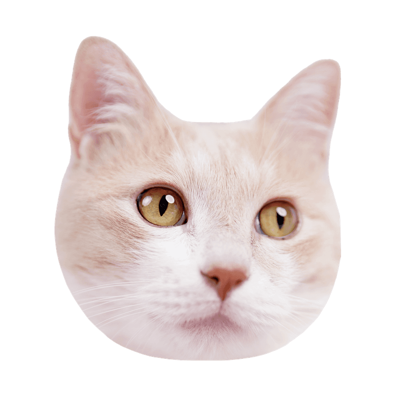 thumbnail_background_img