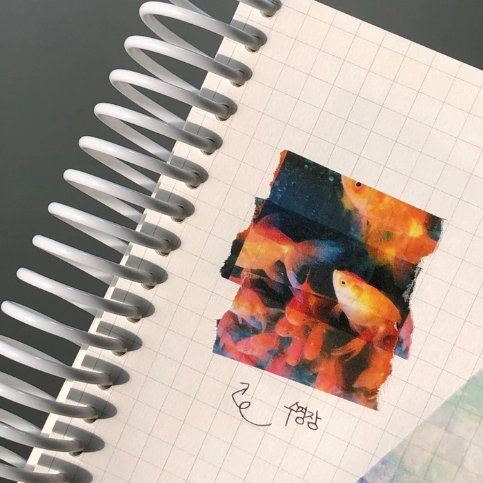 Review thumbnail image