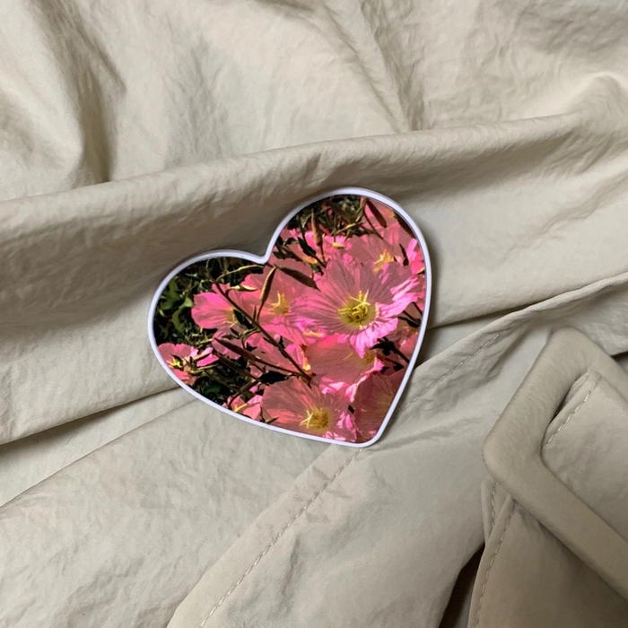 Review thumbnail image