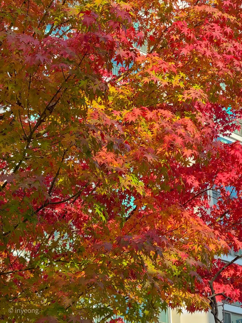 thumbnail_background_img