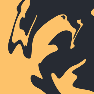 Liquid Shadow Studio