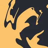 Liquid Shadow Studio