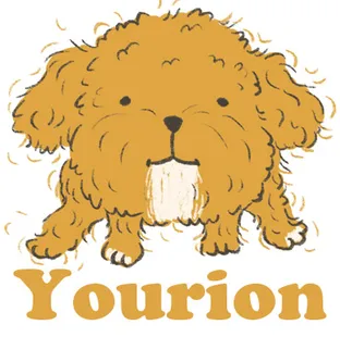 YOURION