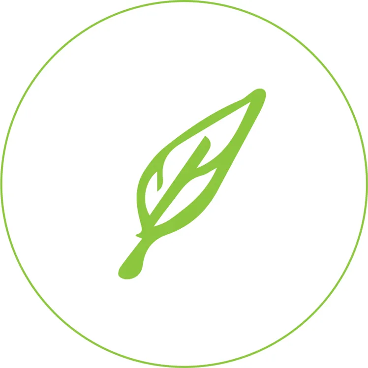 더파리디자인