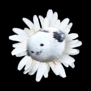 NOW