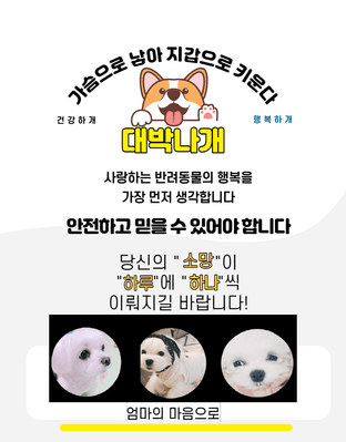 대박나개