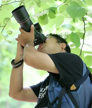 푸른늑대