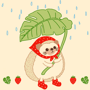 윤윤아뜨룸