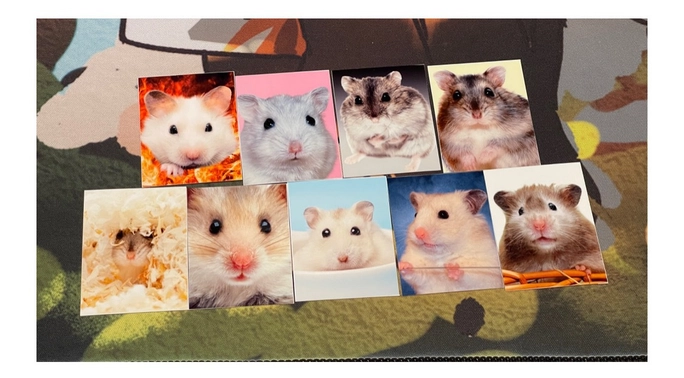Review thumbnail image