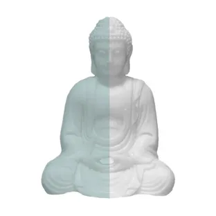 풀소유중생
