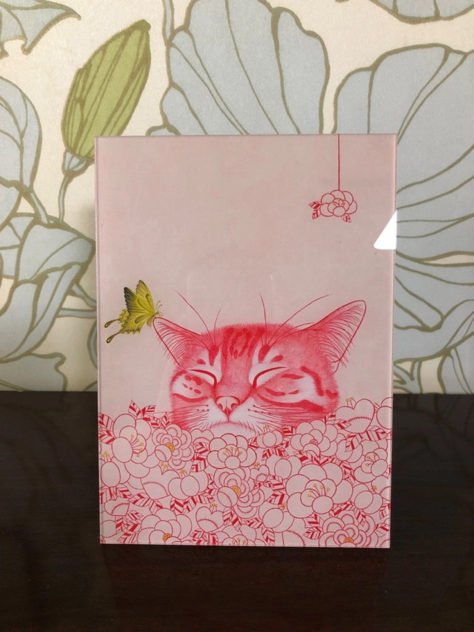 Review thumbnail image