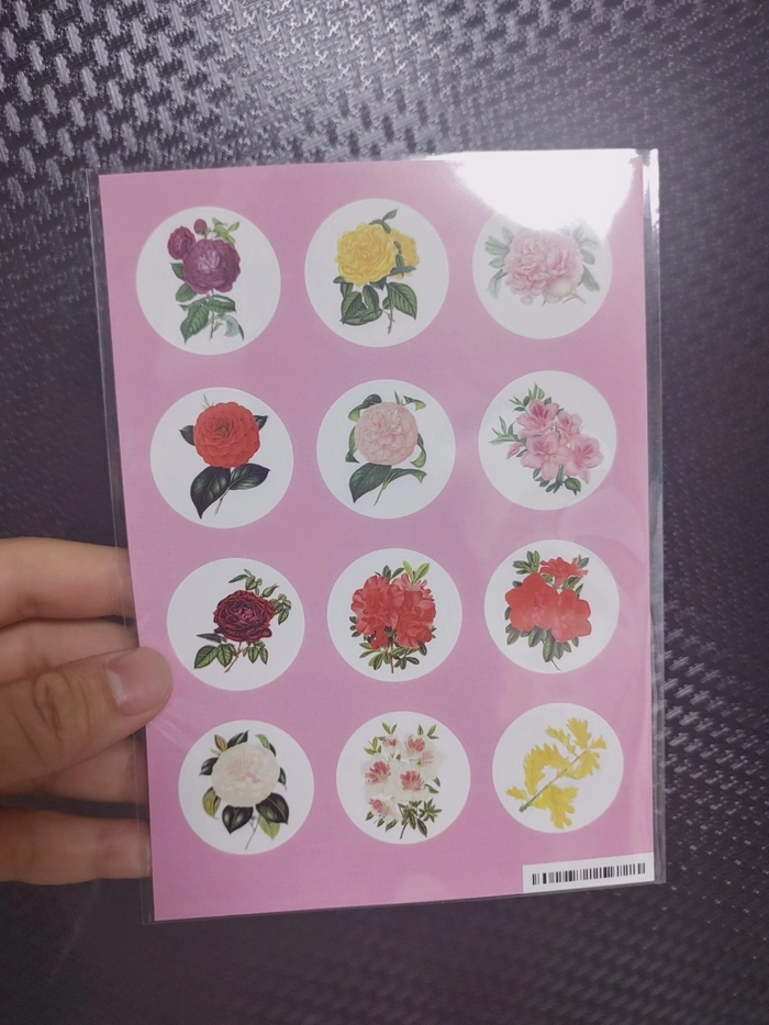 Review thumbnail image