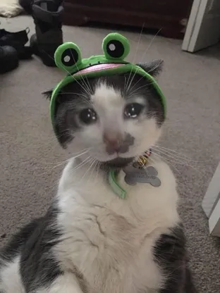 유바