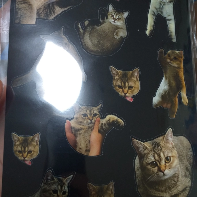 Review thumbnail image
