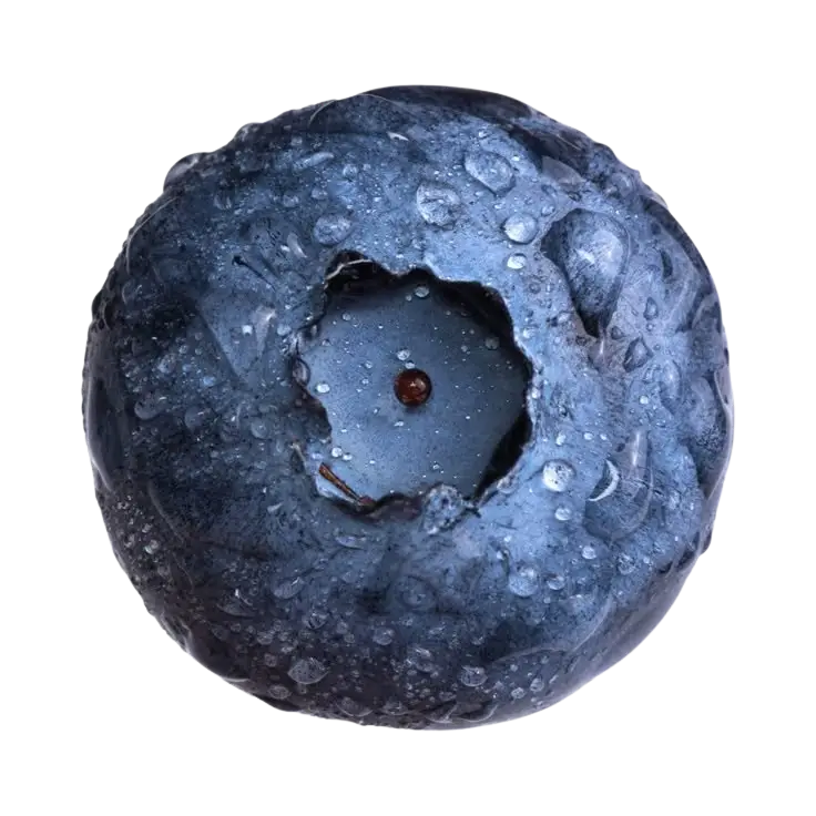thumbnail_background_img
