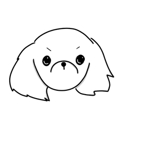 신민지
