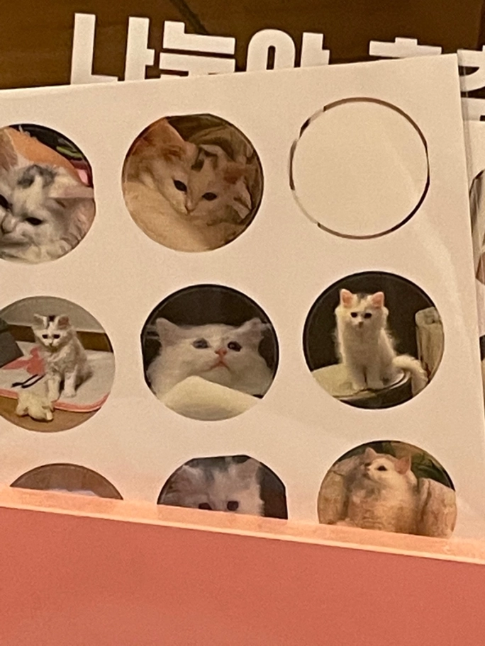 Review thumbnail image