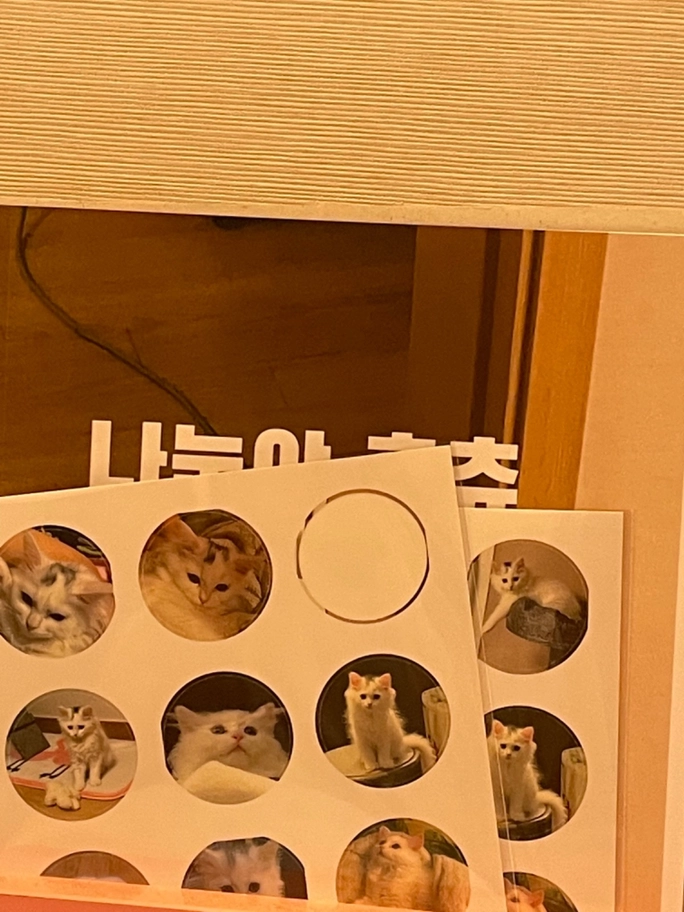 Review thumbnail image