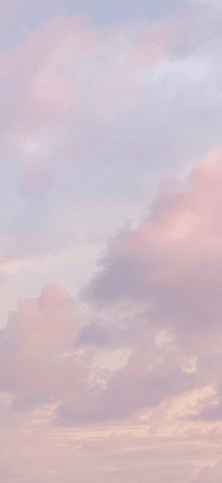 애옹쓰