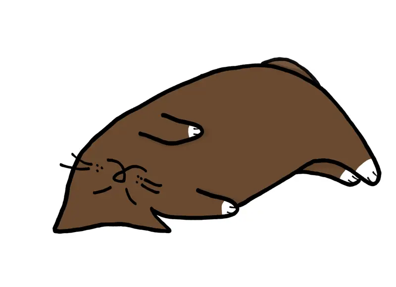 thumbnail_background_img