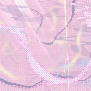 홍시화