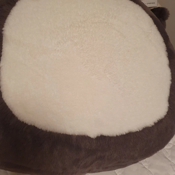Review thumbnail image