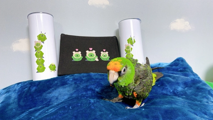 Review thumbnail image