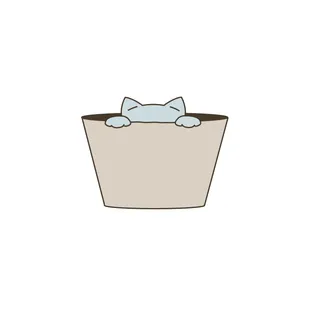 YOYOY
