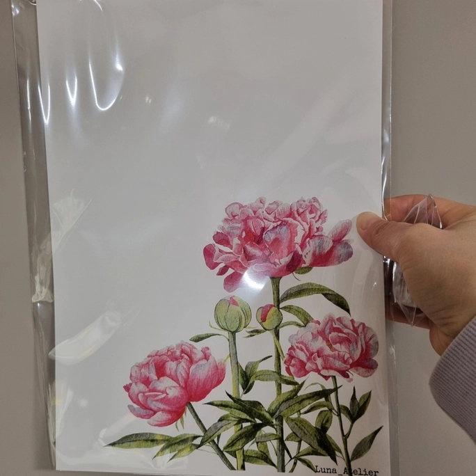 Review thumbnail image