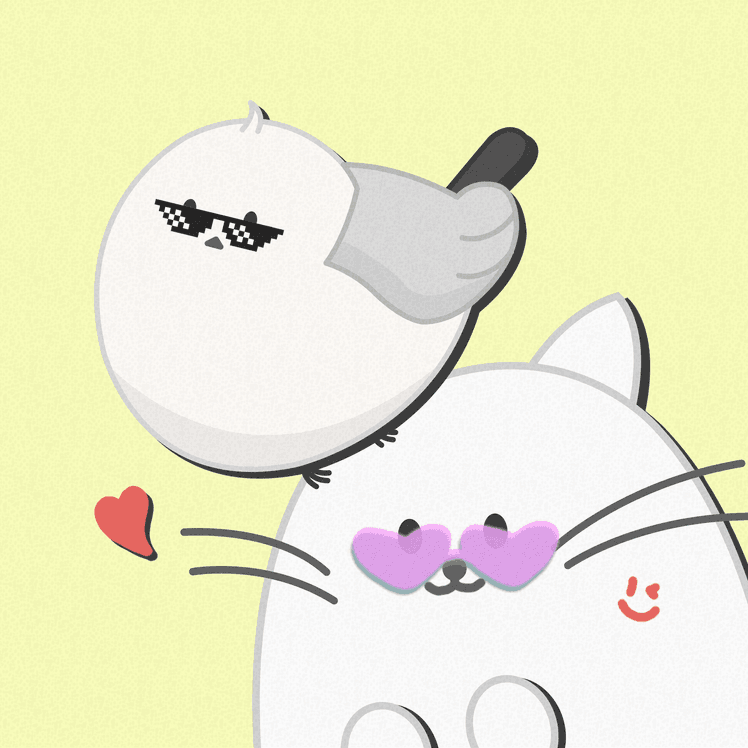 소파와고양이