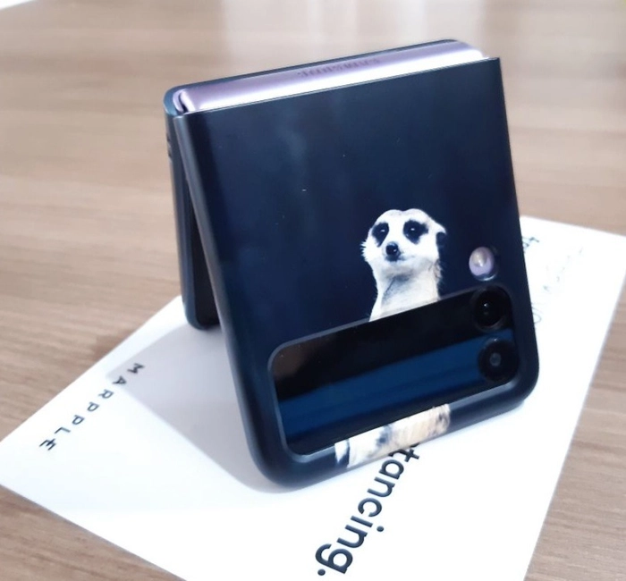 Review thumbnail image