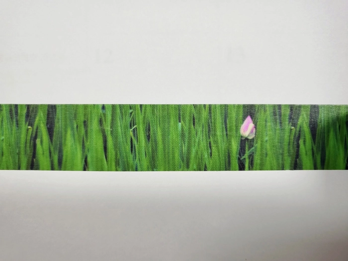 Review thumbnail image