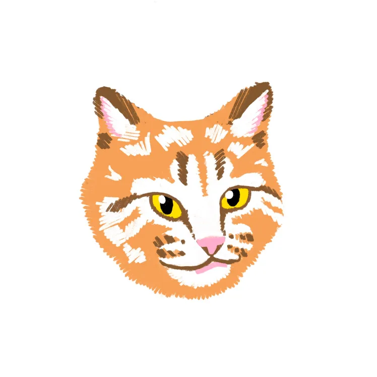 미아옹옹 MeowOOng