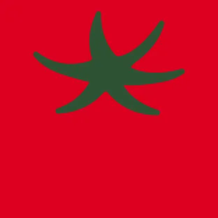 팡팡스튜디오
