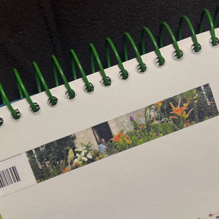 Review thumbnail image