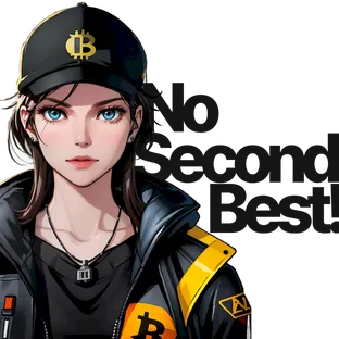비트코인 굿즈, NSBB - No Second Best, Bitcoin