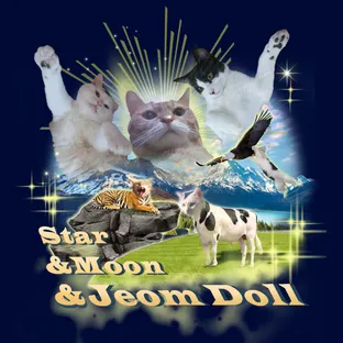별달점돌