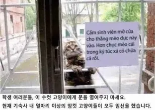 날아라공기야