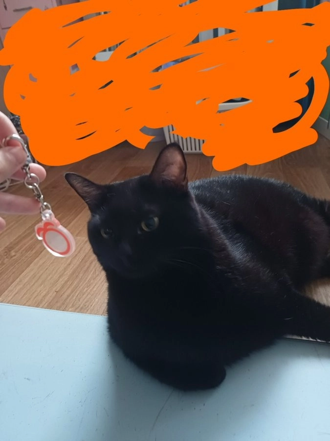 Review thumbnail image