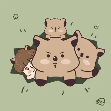 션쿼카 샵