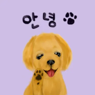 하양이까망이네