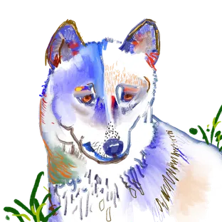 Madbluedog