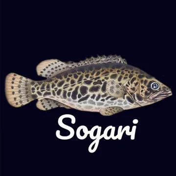 sogari