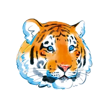 상자